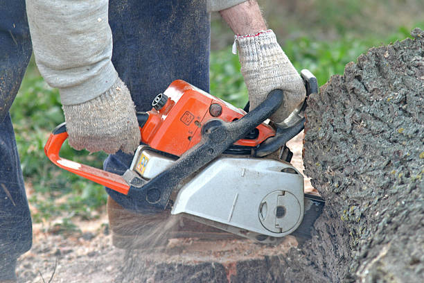 Best Pest Control for Lawns  in Lockhart, TX