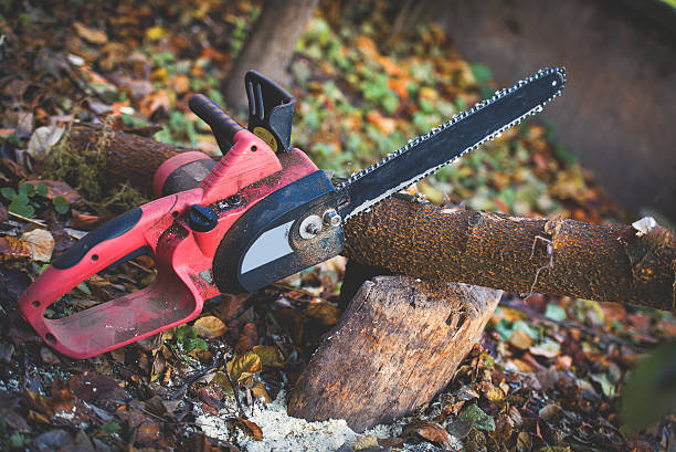 Best Storm Damage Tree Cleanup  in Lockhart, TX